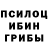 Галлюциногенные грибы мухоморы Muxa Muxa