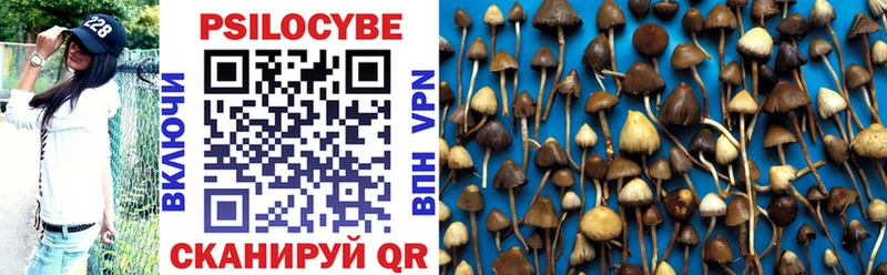 это как зайти  Углегорск  Псилоцибиновые грибы Psilocybine cubensis  как найти закладки 